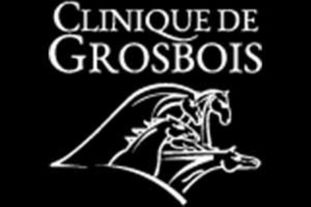 Clinique Grosbois