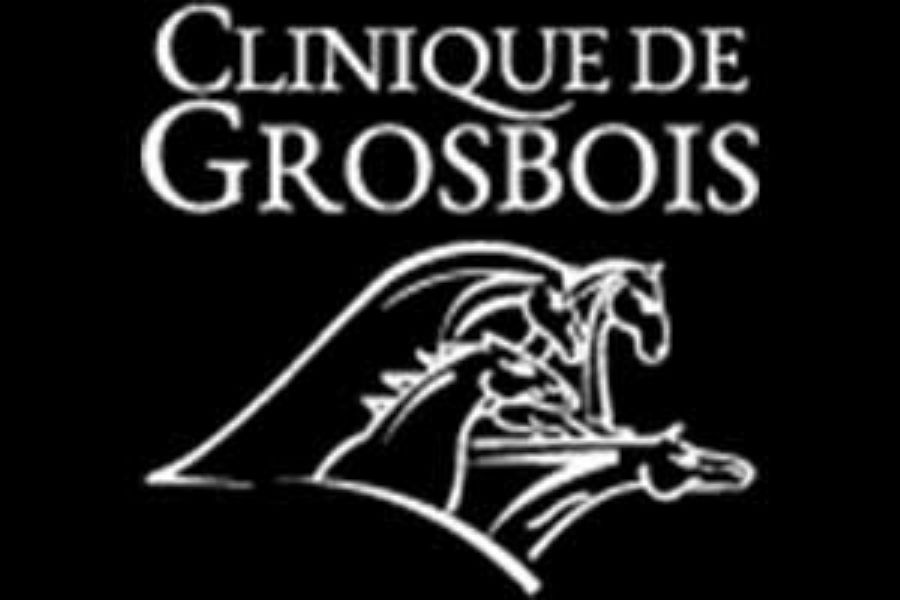 Clinique Grosbois