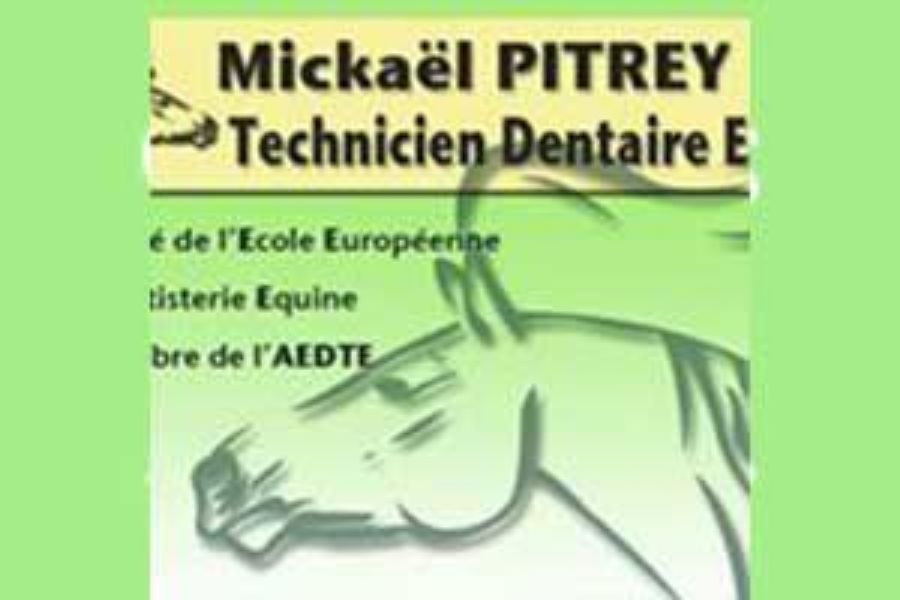 Mickael Pitrey